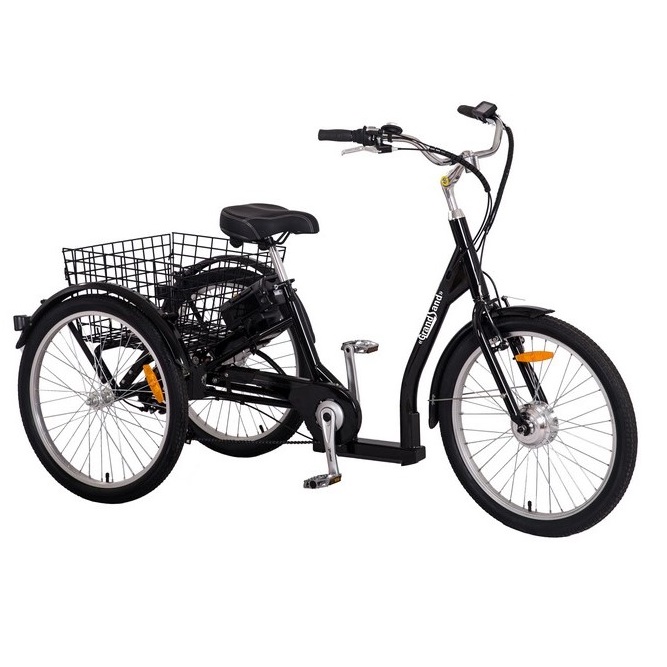 blanding vedvarende ressource hed Trehjulet elektrisk cykel med 7 gear - 250W - 14995 DKK - Hjemfint.dk